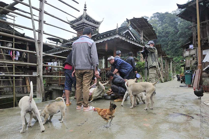 ???? ??? ????… ???? 1? 1?