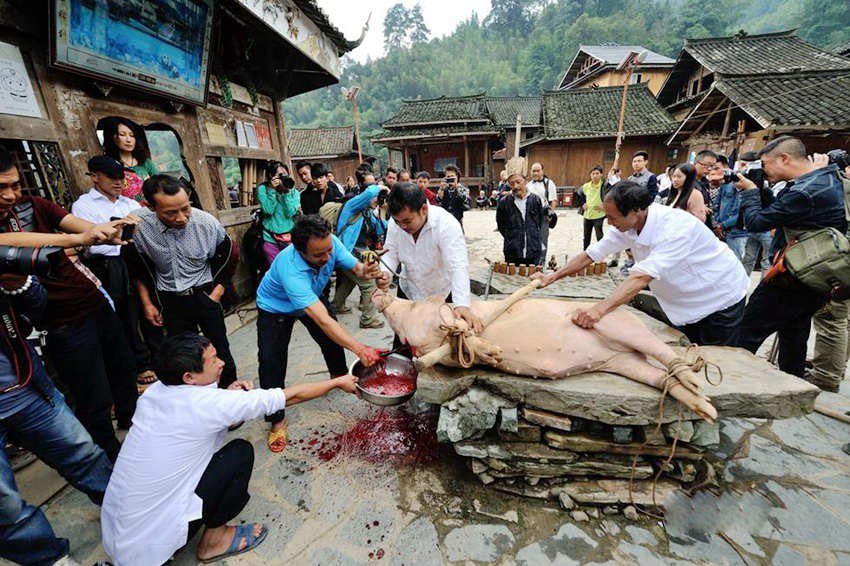 ???? ??? ????… ???? 1? 1?