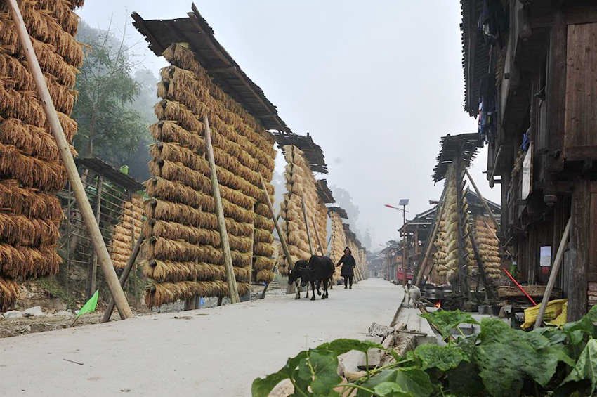 ???? ??? ????… ???? 1? 1?