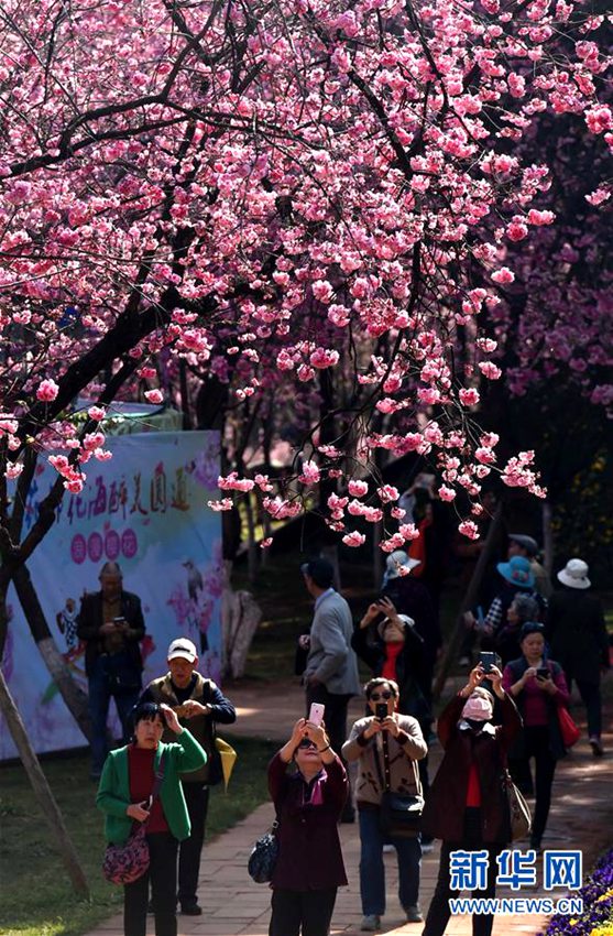 ?? ??? ??? ?, 1? ?? ?? ?? ?? ??? ???