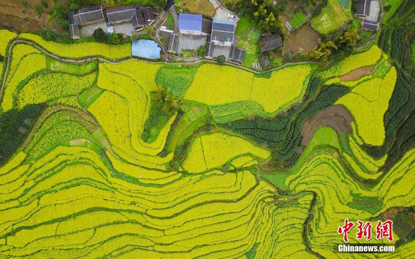 中 ?? ???? ??, ?? ?? ??&??? ???