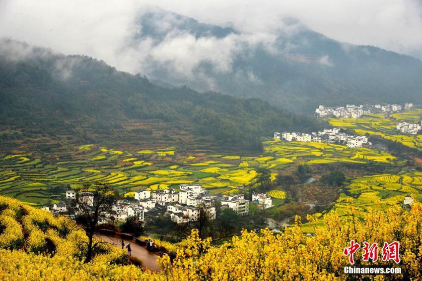 中 ?? ???? ??, ?? ?? ??&??? ???