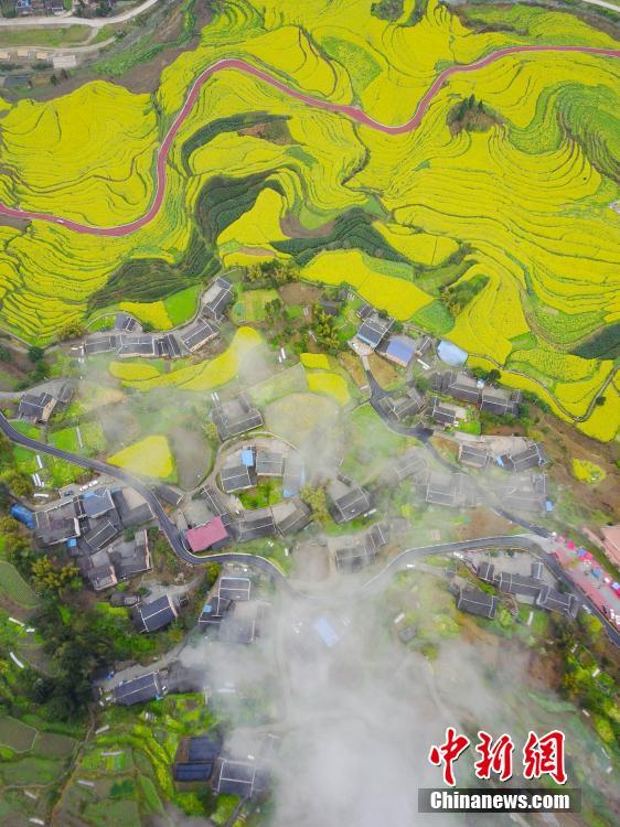 中 ?? ???? ??, ?? ?? ??&??? ???