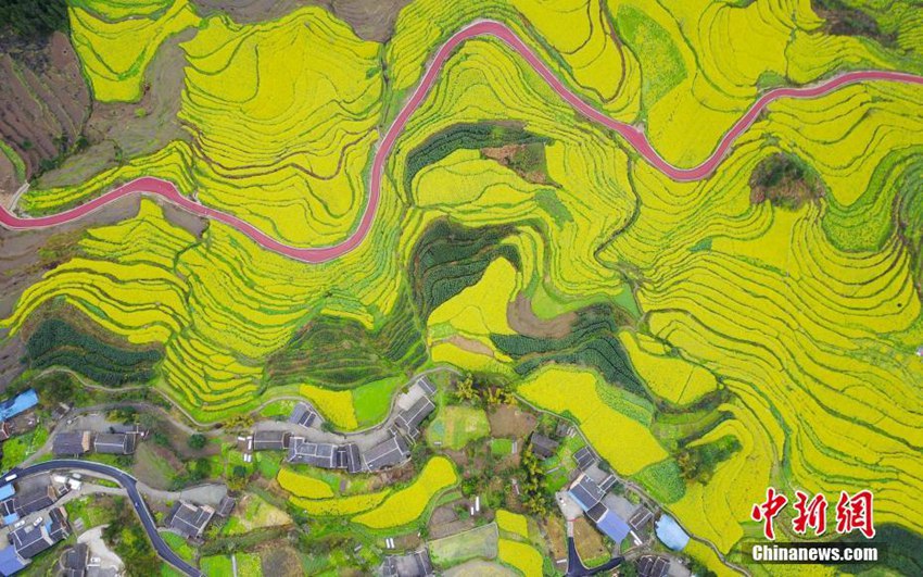 中 ?? ???? ??, ?? ?? ??&??? ???