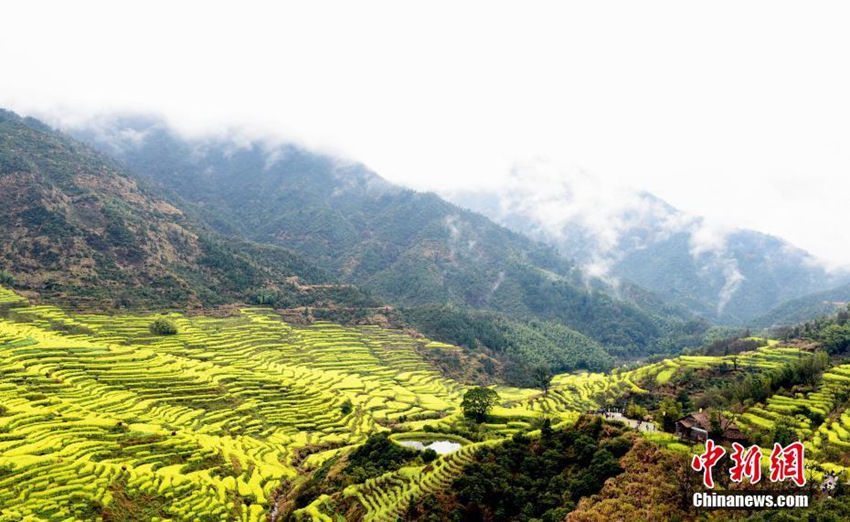 中 ?? ???? ??, ?? ?? ??&??? ???