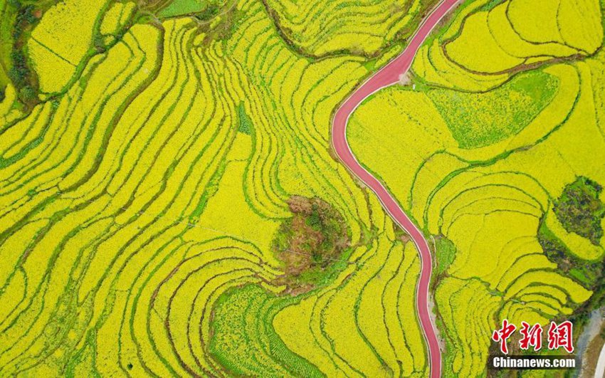 中 ?? ???? ??, ?? ?? ??&??? ???