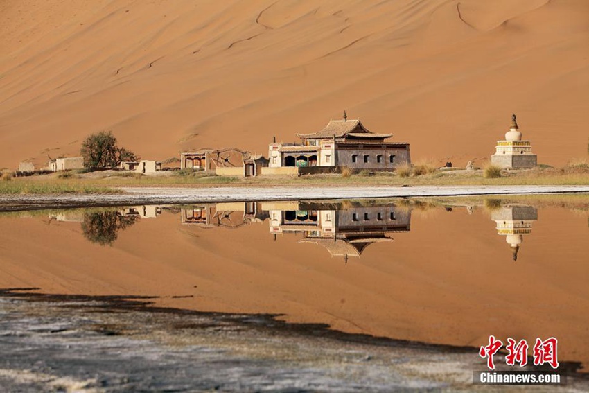 ???? ??? ???? ???? ??? ???