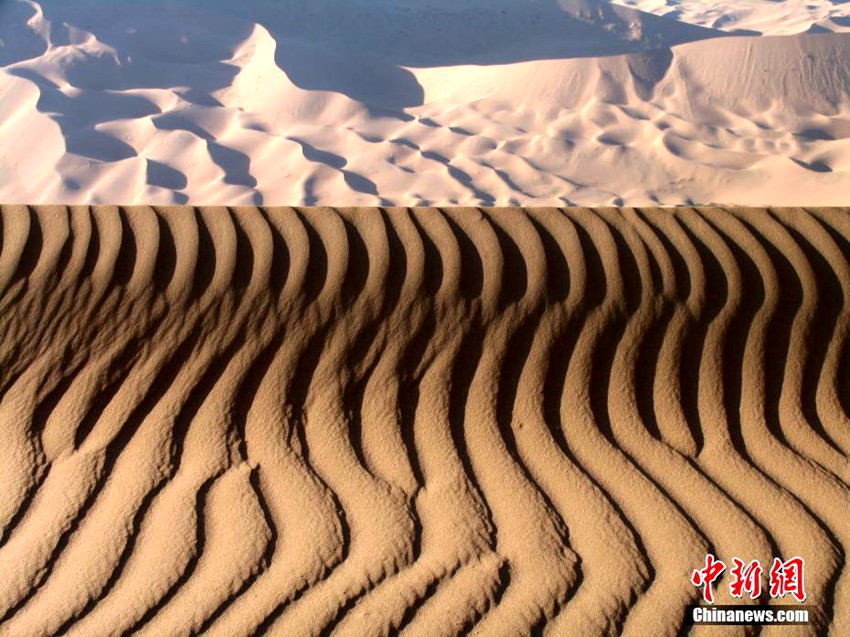 ???? ??? ???? ???? ??? ???