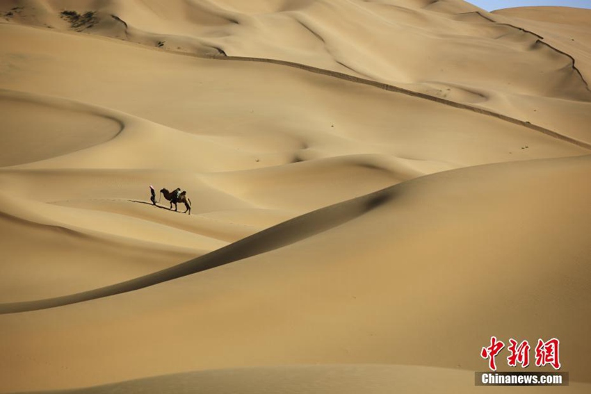 ???? ??? ???? ???? ??? ???