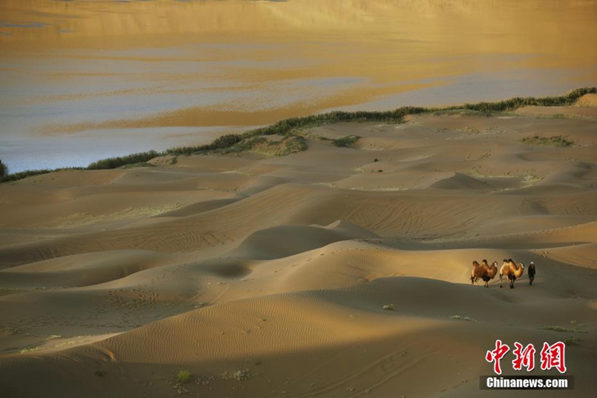 ???? ??? ???? ???? ??? ???