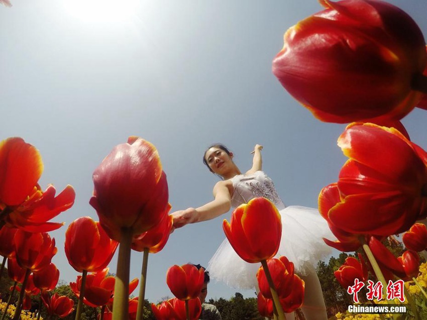 ?? ??: ??? ???? ???? ??? ‘?? ?? ??’