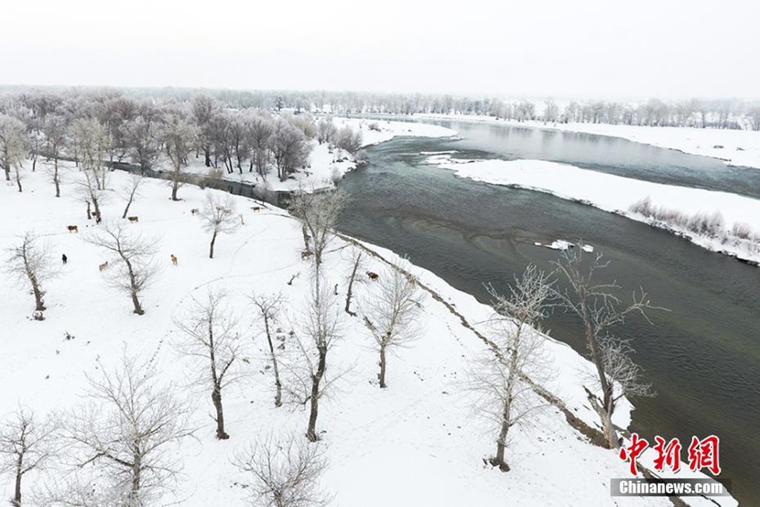 ?? ????? ?? 3?, ???? ?? ?? ? ??