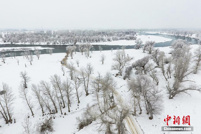 ?? ????? ?? 3?, ???? ?? ?? ? ??