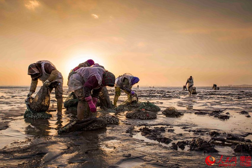 ‘??? ???’ ???? ???? ???? ??