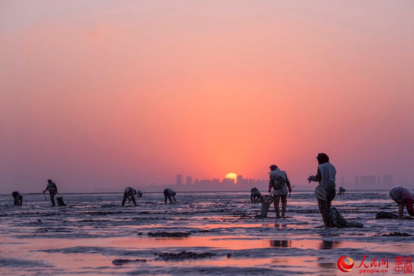 ‘??? ???’ ???? ???? ???? ??