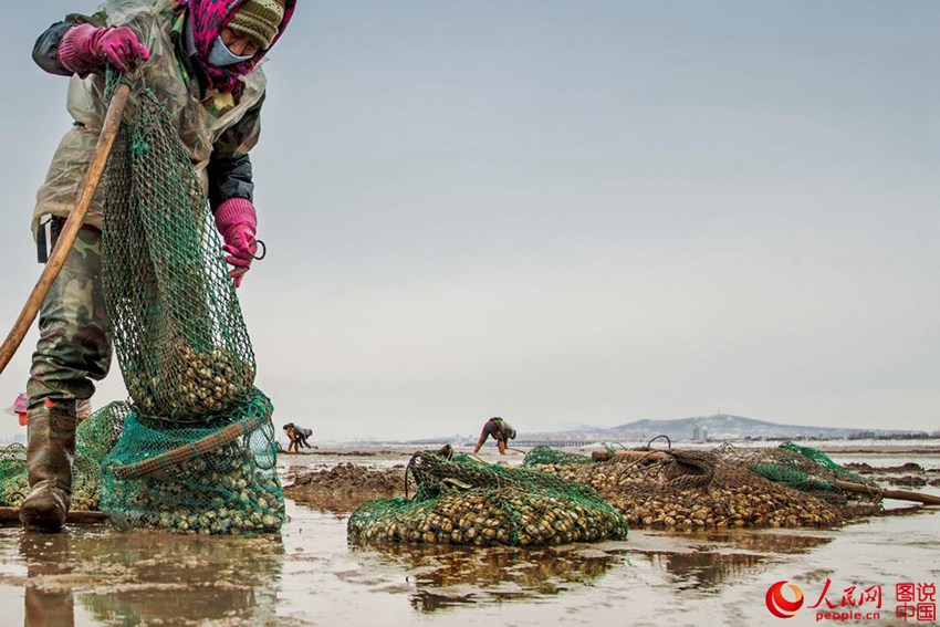 ‘??? ???’ ???? ???? ???? ??