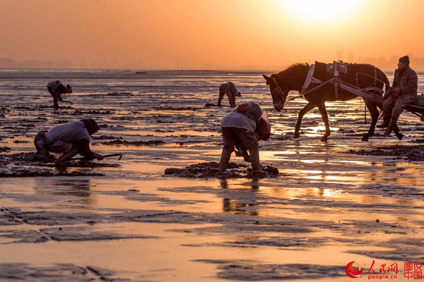 ‘??? ???’ ???? ???? ???? ??