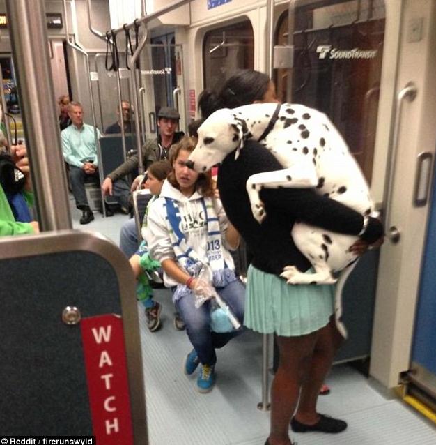 ????? ‘?’ ??, ??? ?? ??