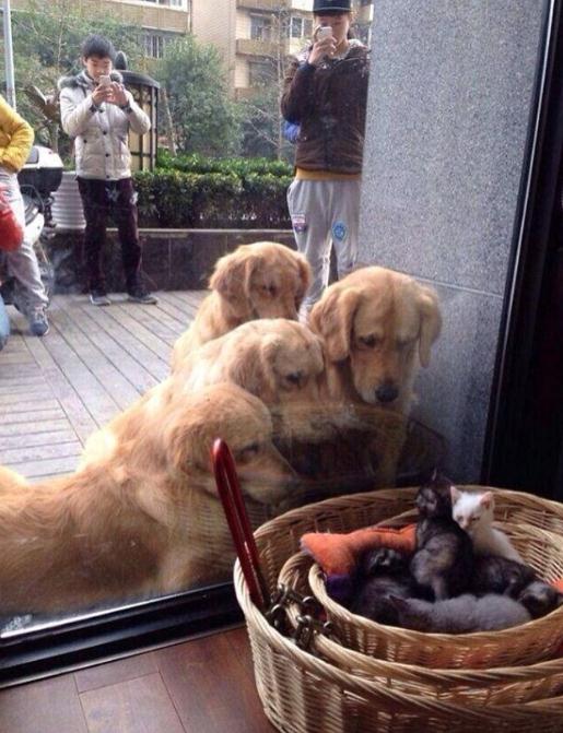 ????? ‘?’ ??, ??? ?? ??