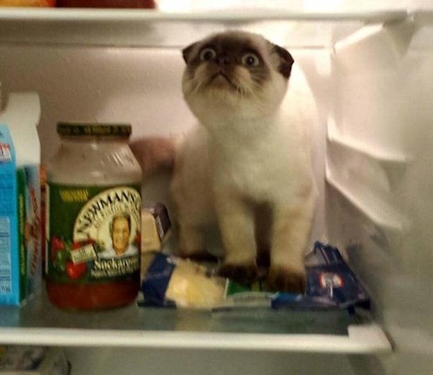 ????? ‘?’ ??, ??? ?? ??