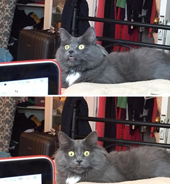 ????? ‘?’ ??, ??? ?? ??