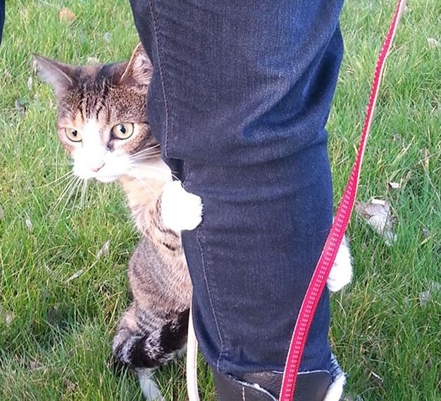 ????? ‘?’ ??, ??? ?? ??