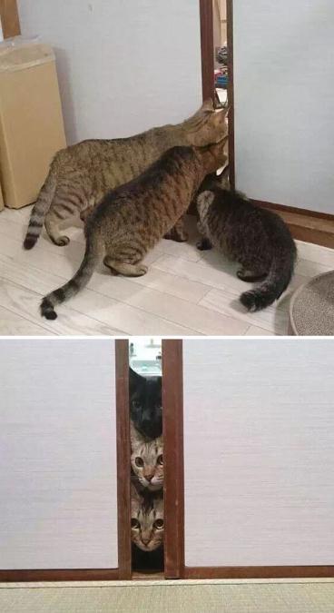 ????? ‘?’ ??, ??? ?? ??