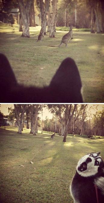 ????? ‘?’ ??, ??? ?? ??