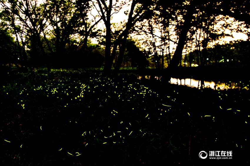 ??? ? ????? ‘????’, ?? ??? ????? ??? ??