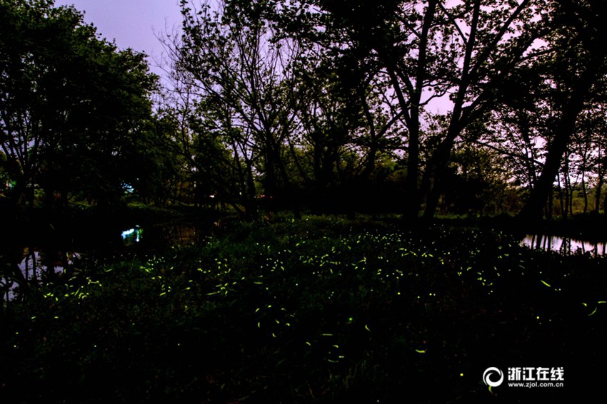 ??? ? ????? ‘????’, ?? ??? ????? ??? ??