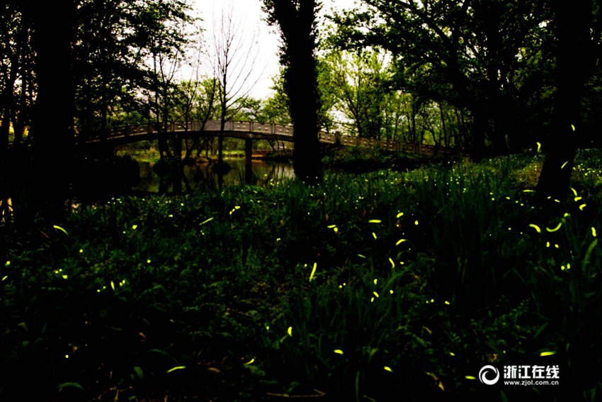 ??? ? ????? ‘????’, ?? ??? ????? ??? ??