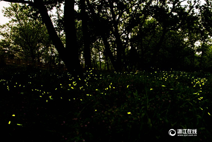 ??? ? ????? ‘????’, ?? ??? ????? ??? ??