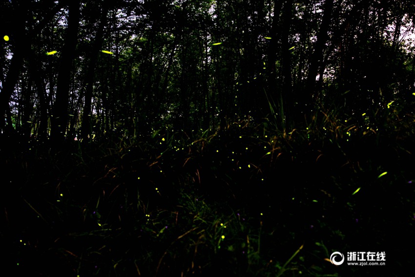 ??? ? ????? ‘????’, ?? ??? ????? ??? ??