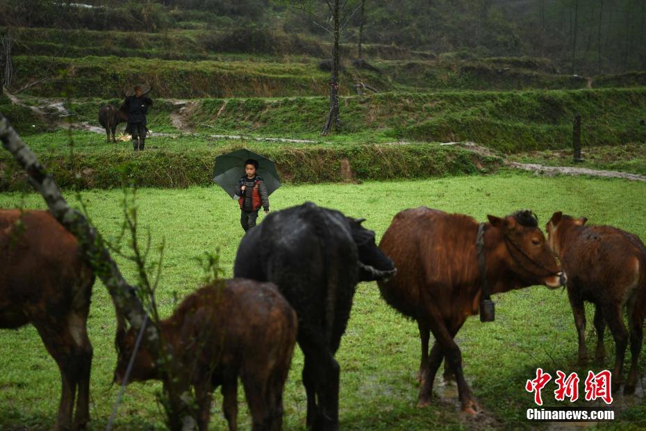 ?? ????? ‘??’ ???, 87? ???? ??? ??