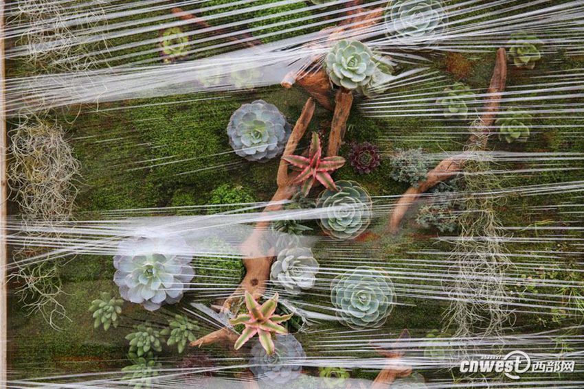 ?? 20? ??? ?? ???? ???: ??? ???