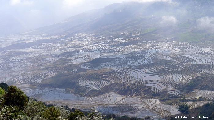 ‘?? ??’ ??? ?? ???, 15?? ???? ?? ?? ??