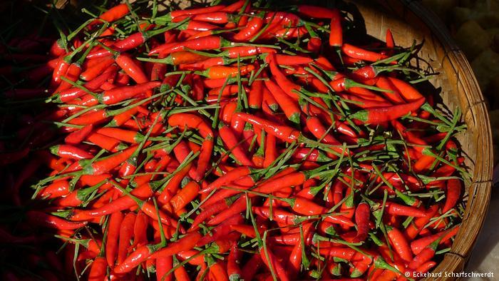 ‘?? ??’ ??? ?? ???, 15?? ???? ?? ?? ??