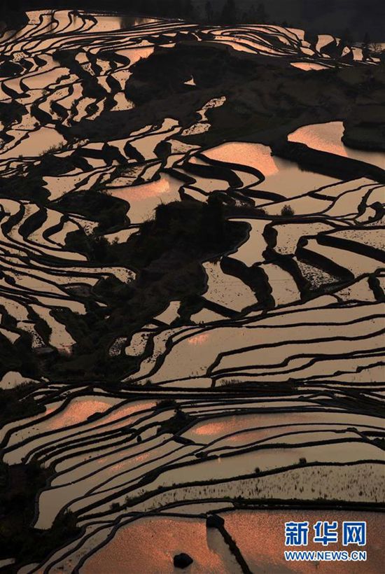 ??? ?? ??, ?? ?? ‘??? ?’? ??? ??