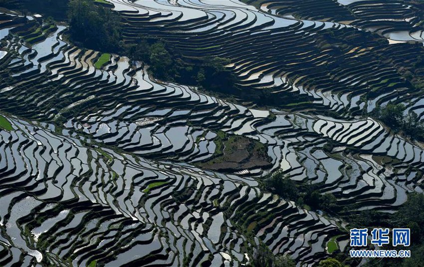 ??? ?? ??, ?? ?? ‘??? ?’? ??? ??