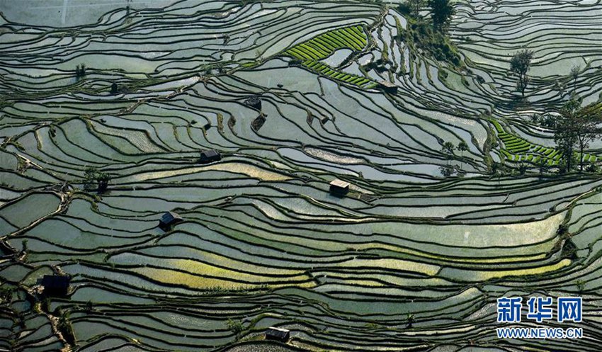 ??? ?? ??, ?? ?? ‘??? ?’? ??? ??