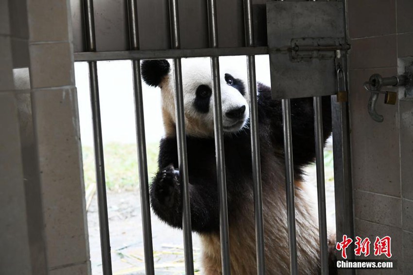 ????? ??? ?? ??! ?? ????? ?? ? ??