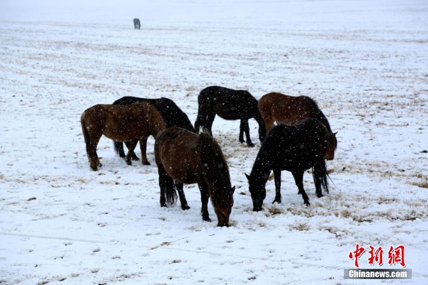 ?? ?? ??? ????? ?? ?, ???? ??