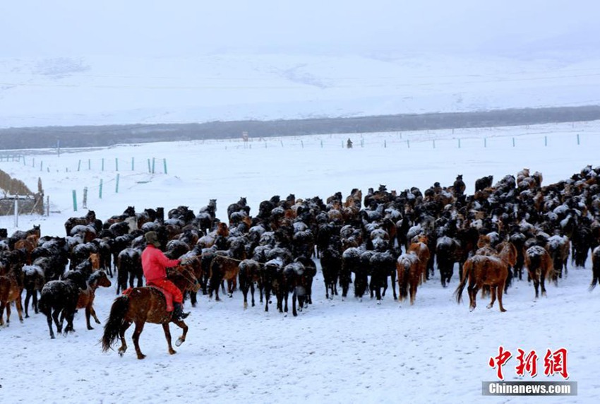 ?? ?? ??? ????? ?? ?, ???? ??