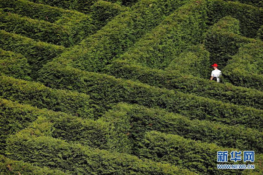 ????? ?? ? ?? ???? ??? ?? ?? ??!