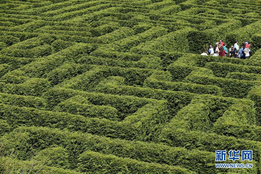 ????? ?? ? ?? ???? ??? ?? ?? ??!