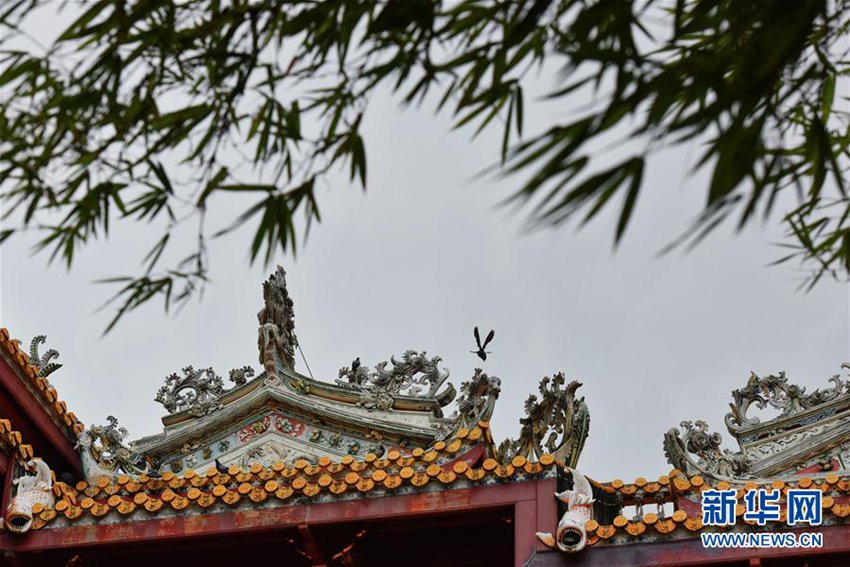 ??? ?????? ??? ?? ??: ??? ????