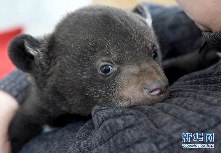 ?? ???? ??? ‘???’ ?????, ????? ???