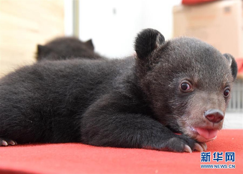 ?? ???? ??? ‘???’ ?????, ????? ???