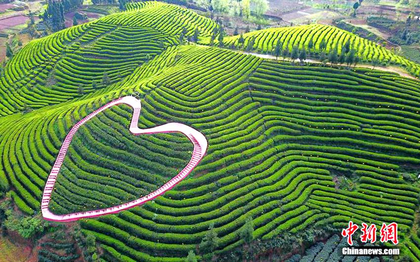 ???? ?? ??? ??? ?? ‘??? ?’, ??? ?? ??