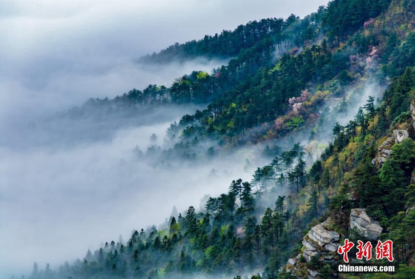 ?? ?? ?? ?? ???? ??, ?? ?? ??? ??